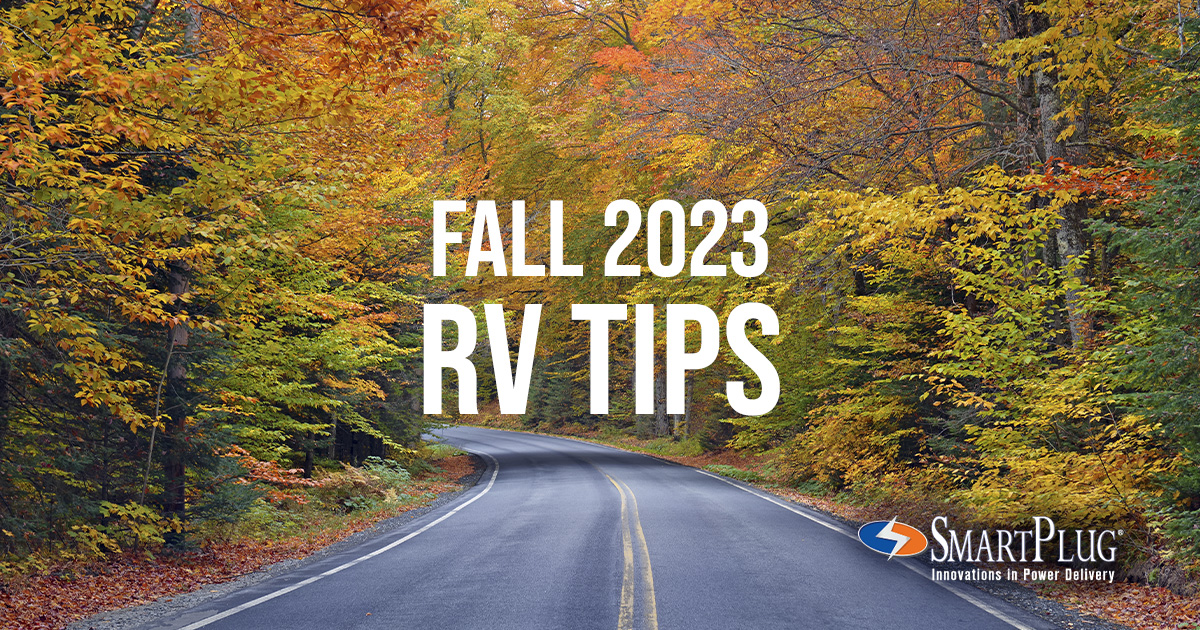 fall road