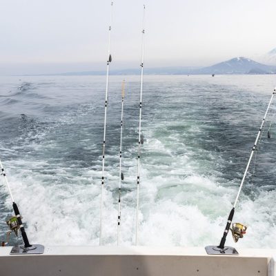 fishing rods on stern of boat during fishing